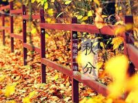 【秋分】一场秋雨一场寒,今日大六壬起课换月将