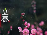 今天立春，你知道它精确到秒吗？