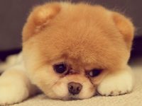 你会得抑郁症吗?(紫微斗数篇)